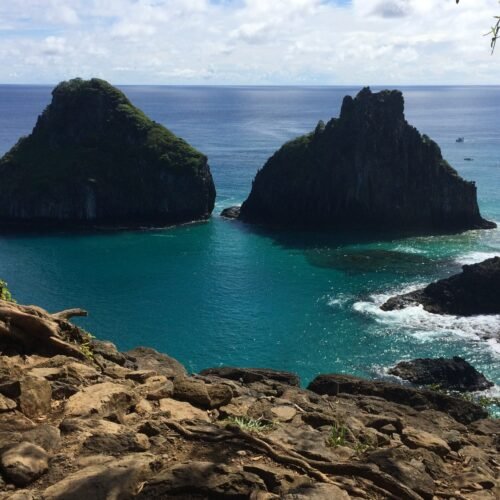 Fernando de Noronha Experience