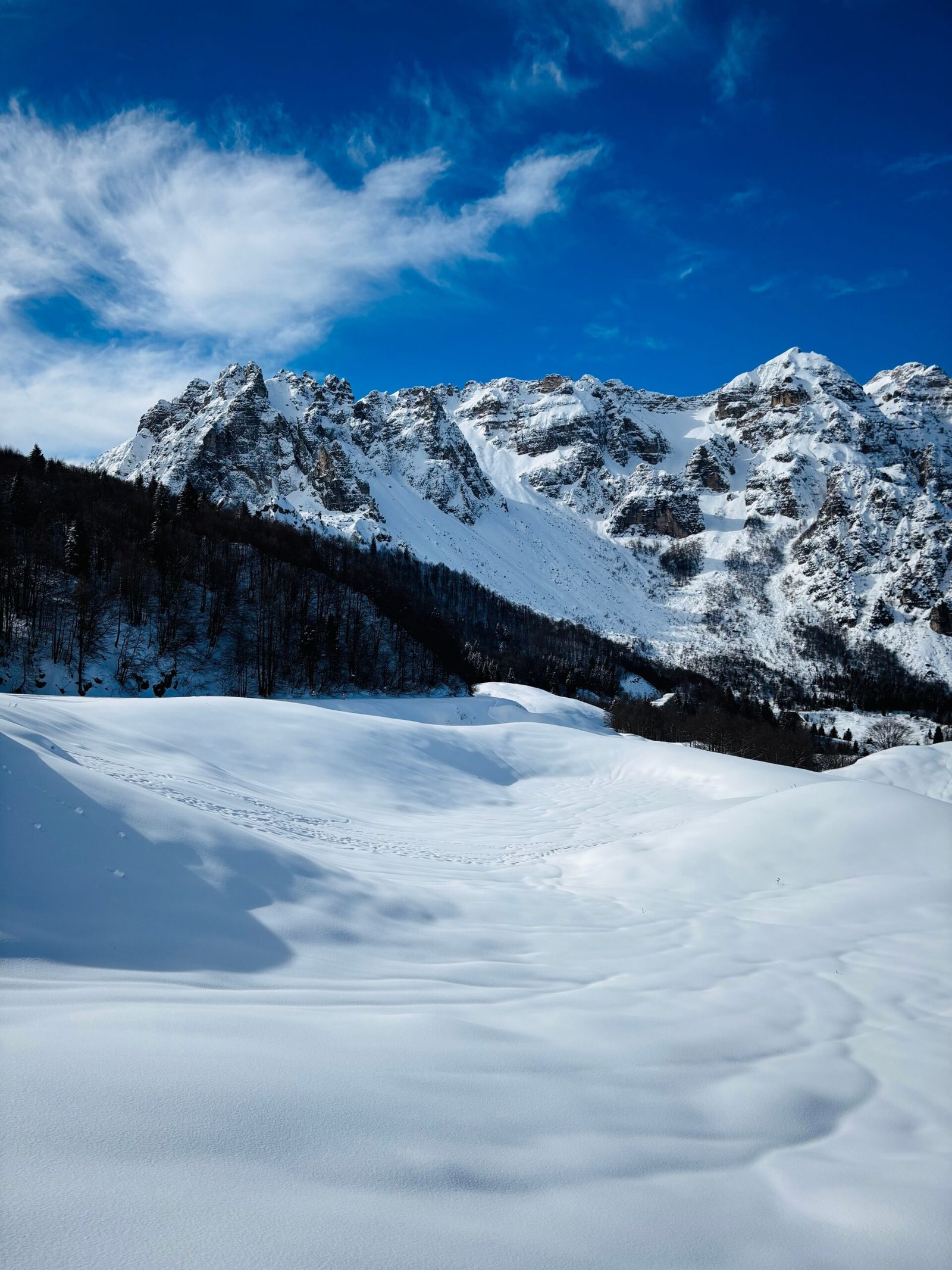 Neve